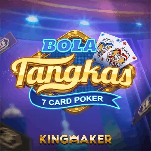 Gaming Provider 8